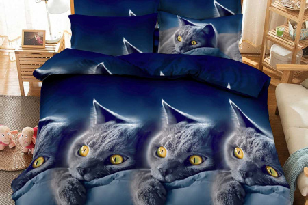 2eb29f17-860c-4d2a-aa59-caa702881edd